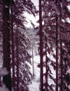vallée de la Helle