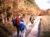 descente vers le village de Kautenbach
