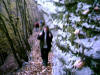 longue monte vers la crte surplombant Traben Trabach