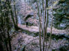 chemin digne d'un sentier de montagne