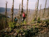 descente dans les vignes