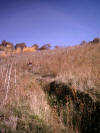 descente dans les vignes