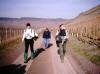 dans les vignes