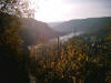 descente dans les vignes