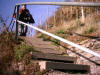 descente dans les vignes