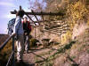 descente dans les vignes