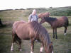 Patrick au milieu des chevaux sur le chemin vers Cork Casttle