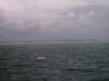 le cap gris nez vu depuis la malle Dunkerque-Douvres